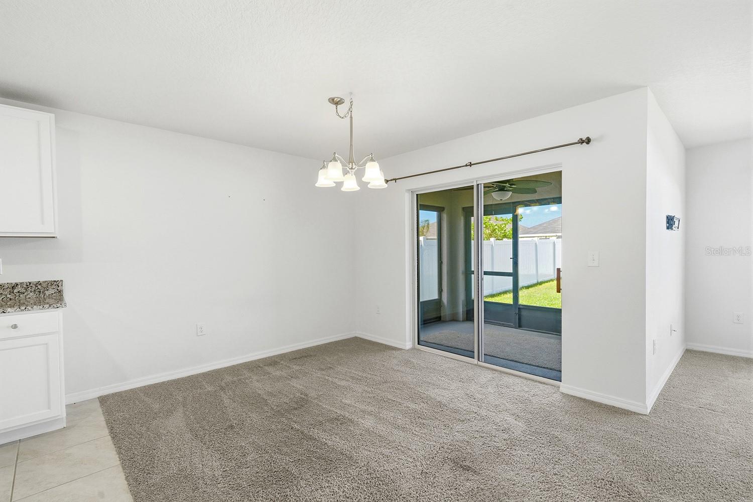 13196 GOLDEN LIME AVE, SPRING HILL, FL, 34609