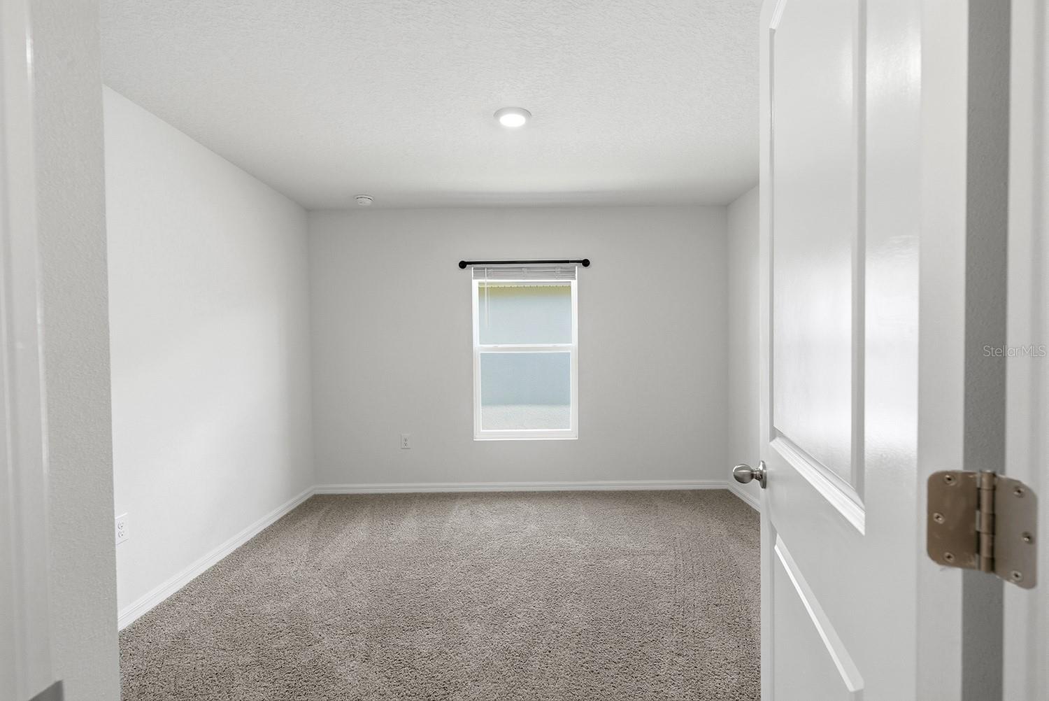 13196 GOLDEN LIME AVE, SPRING HILL, FL, 34609