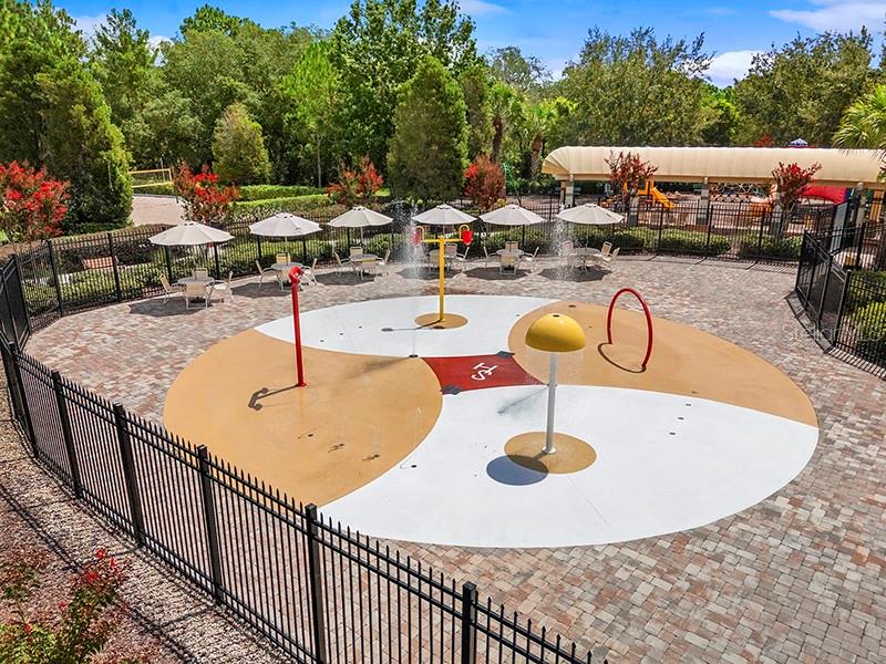 13196 GOLDEN LIME AVE, SPRING HILL, FL, 34609