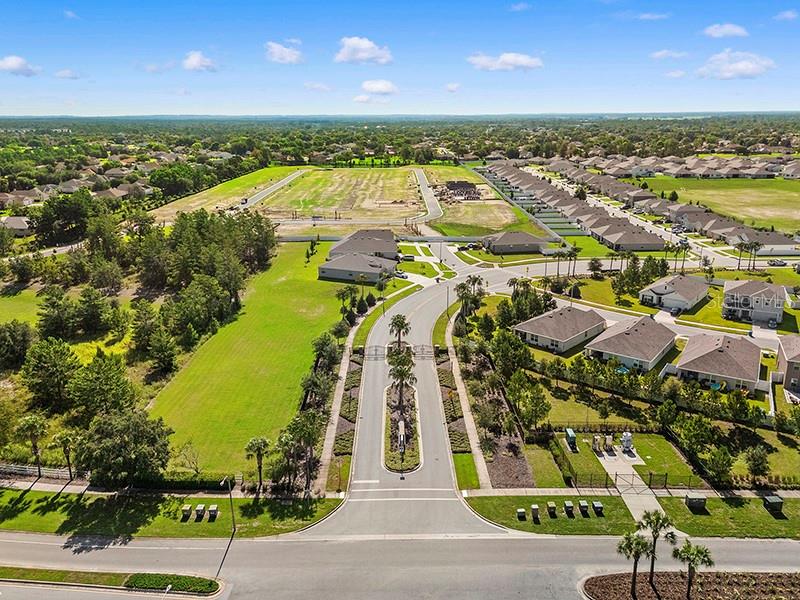 13196 GOLDEN LIME AVE, SPRING HILL, FL, 34609