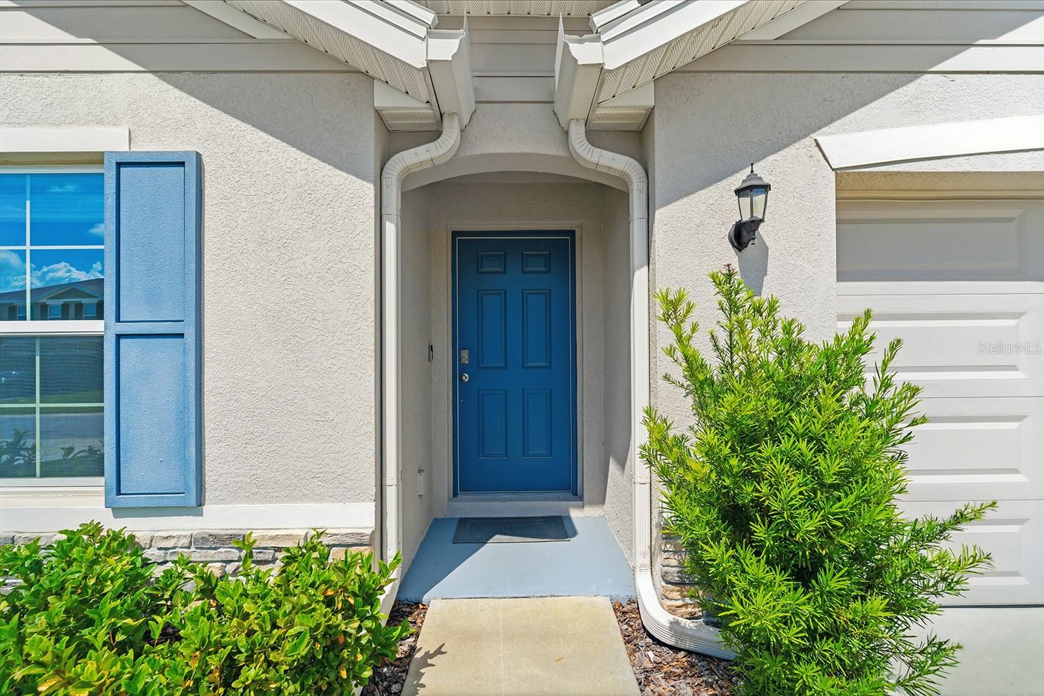 13196 GOLDEN LIME AVE, SPRING HILL, FL, 34609