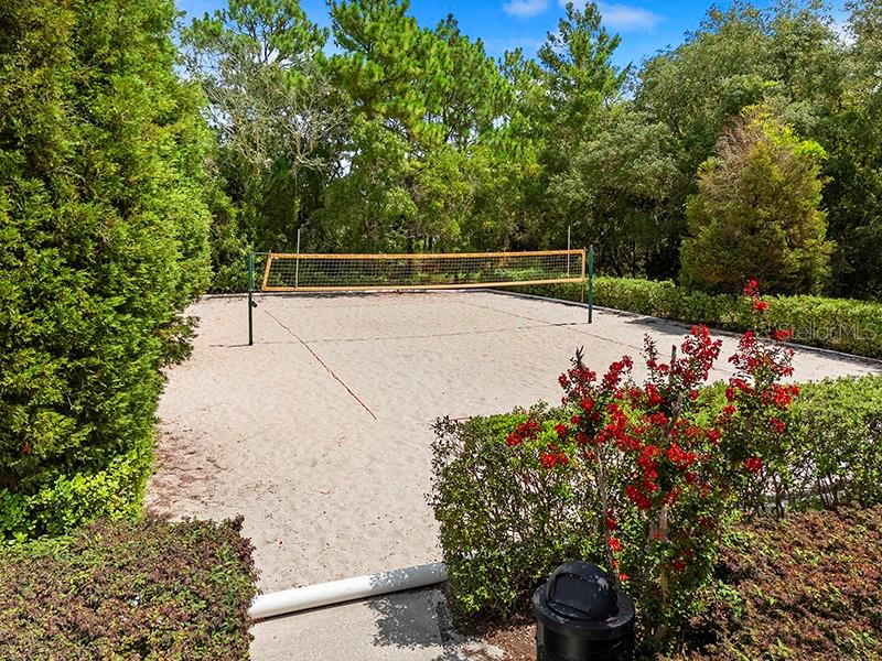 13196 GOLDEN LIME AVE, SPRING HILL, FL, 34609