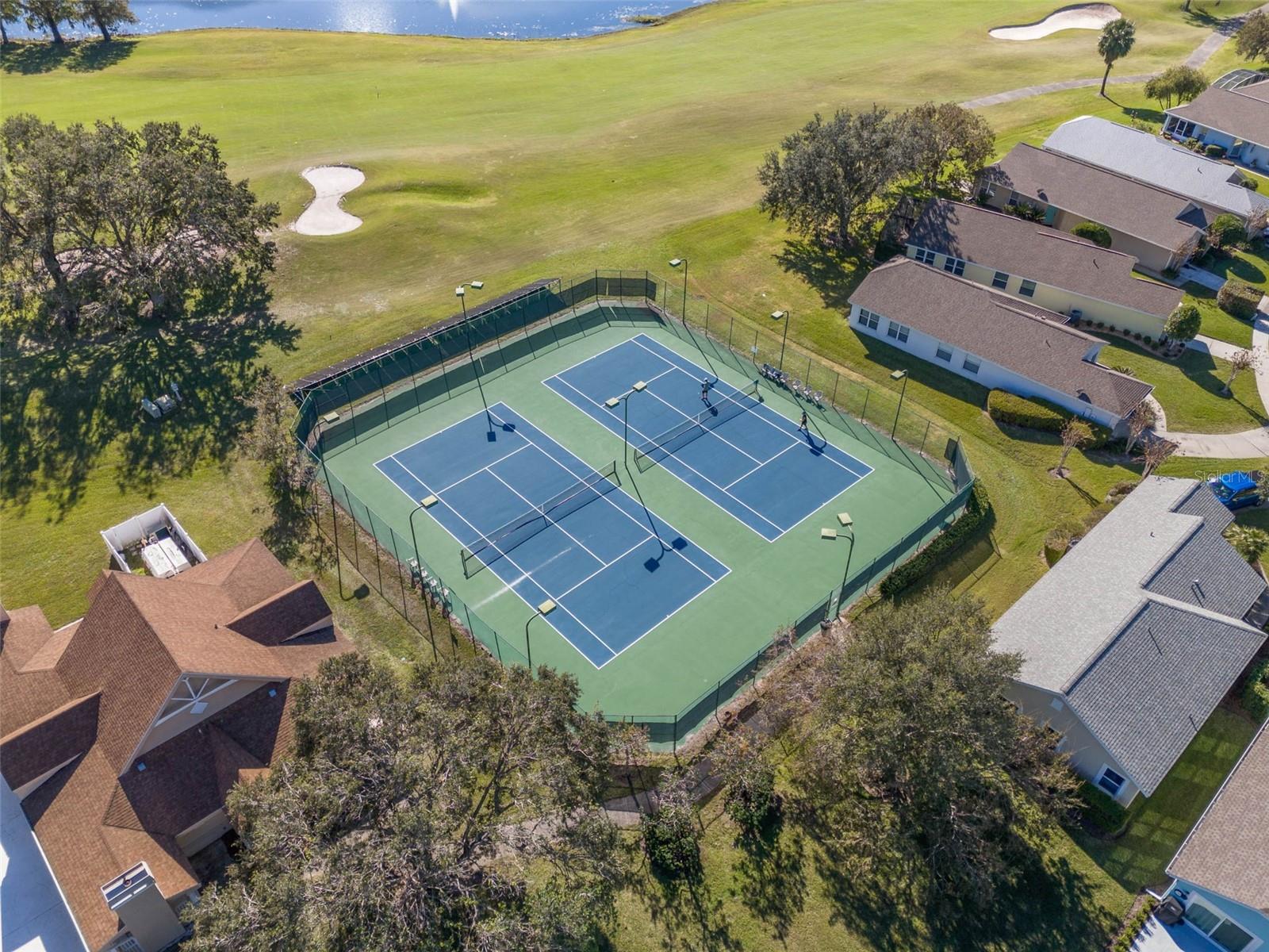 9073 SAINT ANDREWS WAY, MOUNT DORA, FL, 32757