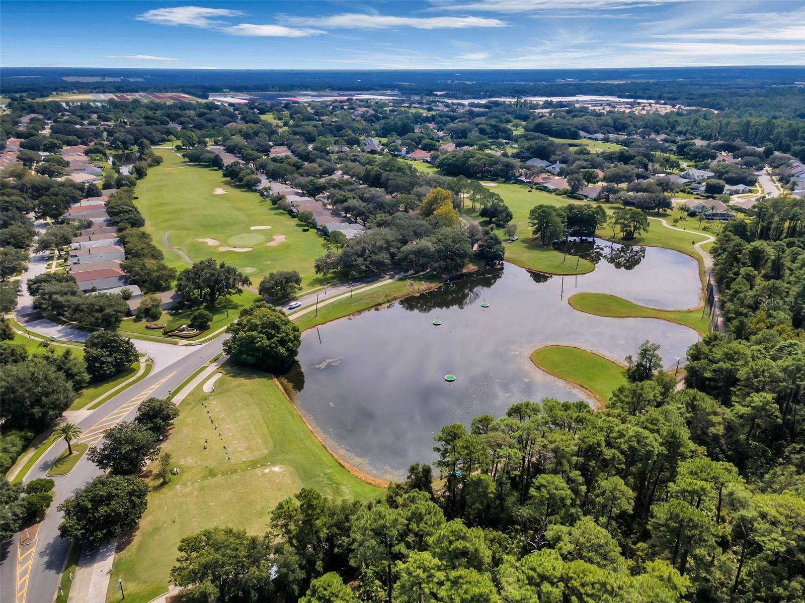 9073 SAINT ANDREWS WAY, MOUNT DORA, FL, 32757