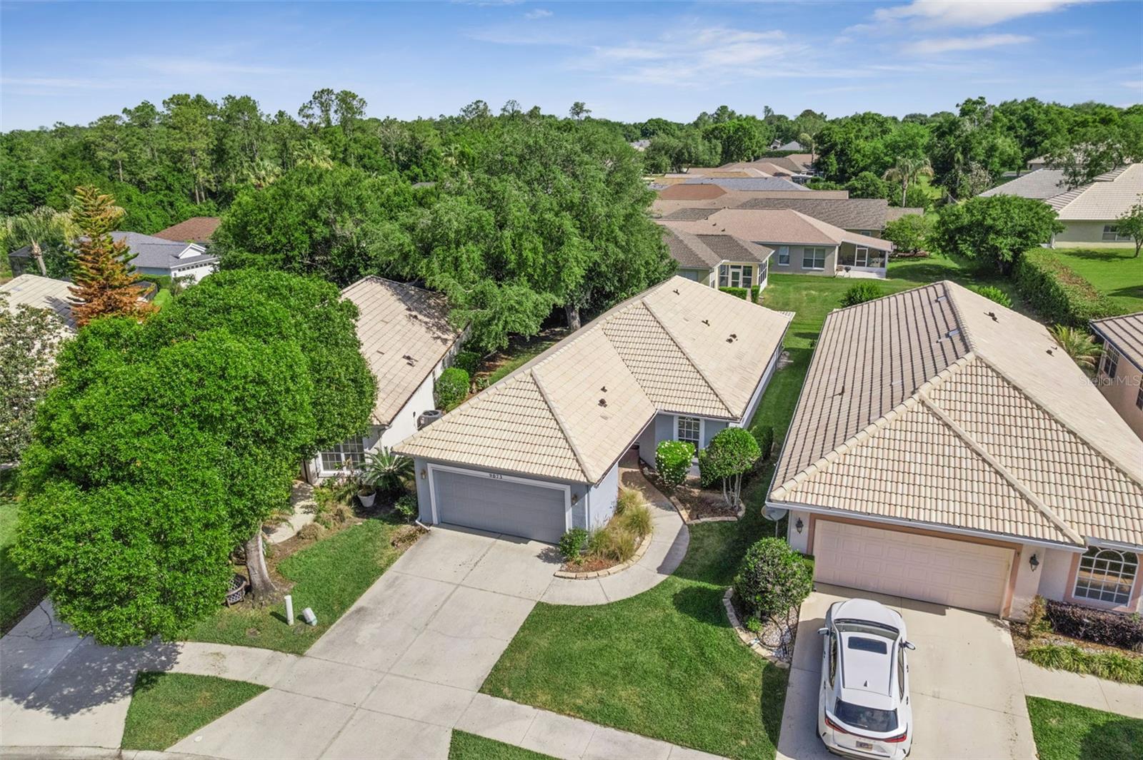 9073 SAINT ANDREWS WAY, MOUNT DORA, FL, 32757