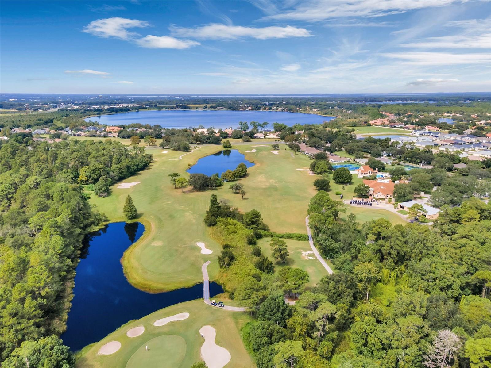 9073 SAINT ANDREWS WAY, MOUNT DORA, FL, 32757