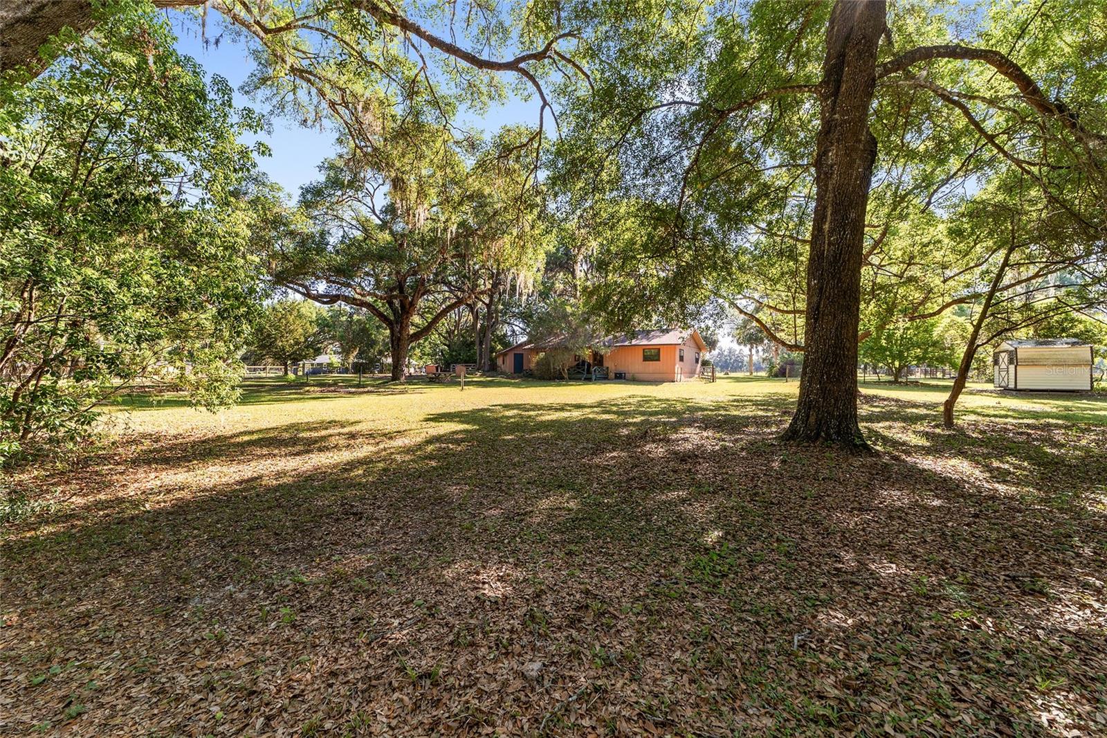 14020 NW 160TH AVE, WILLISTON, FL, 32696