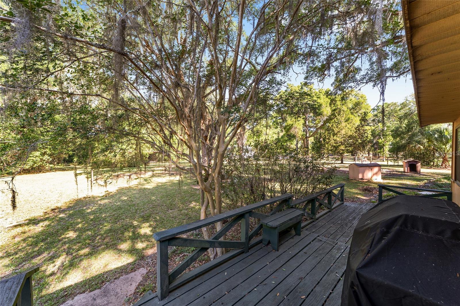14020 NW 160TH AVE, WILLISTON, FL, 32696