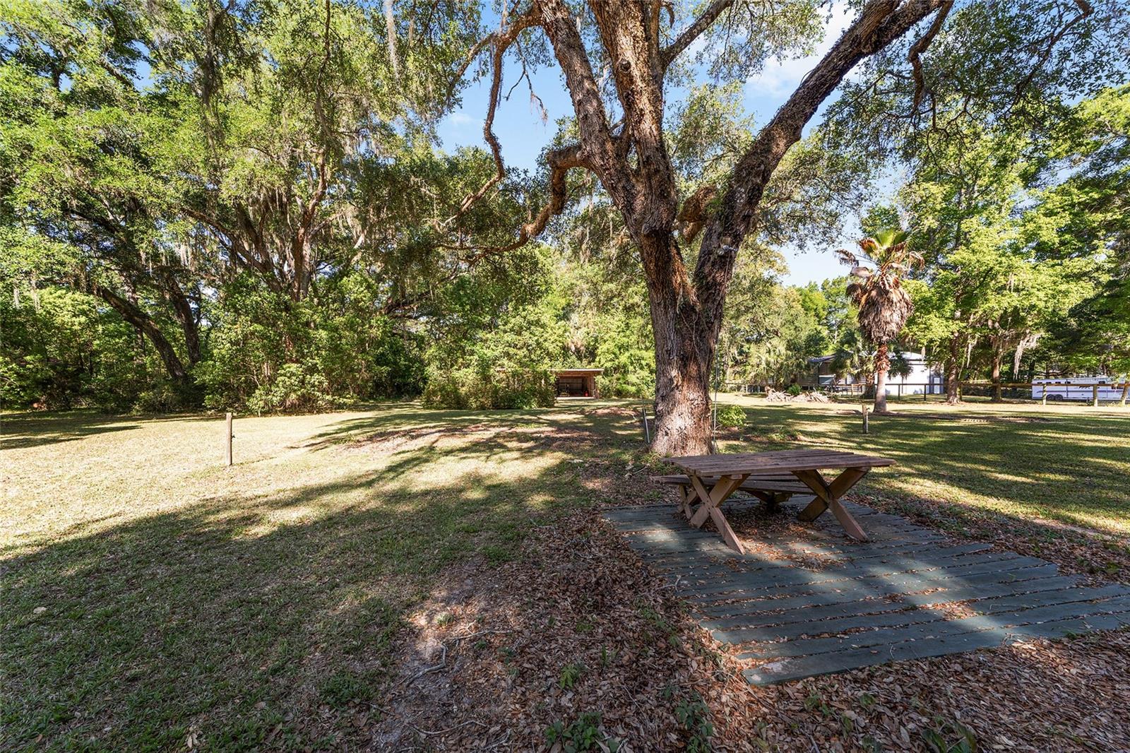 14020 NW 160TH AVE, WILLISTON, FL, 32696