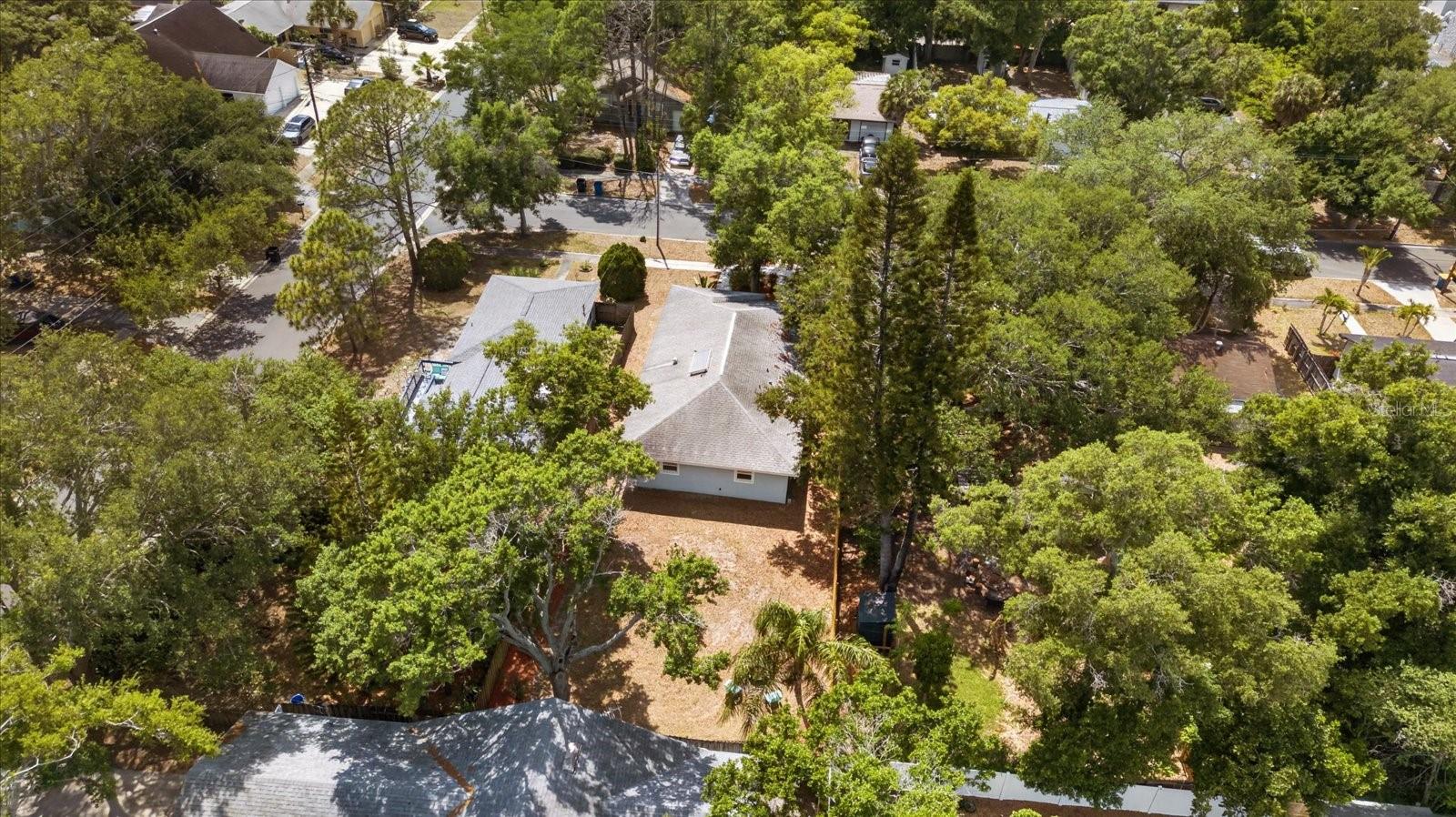 541 PLUMOSA AVE, CLEARWATER, FL, 33756