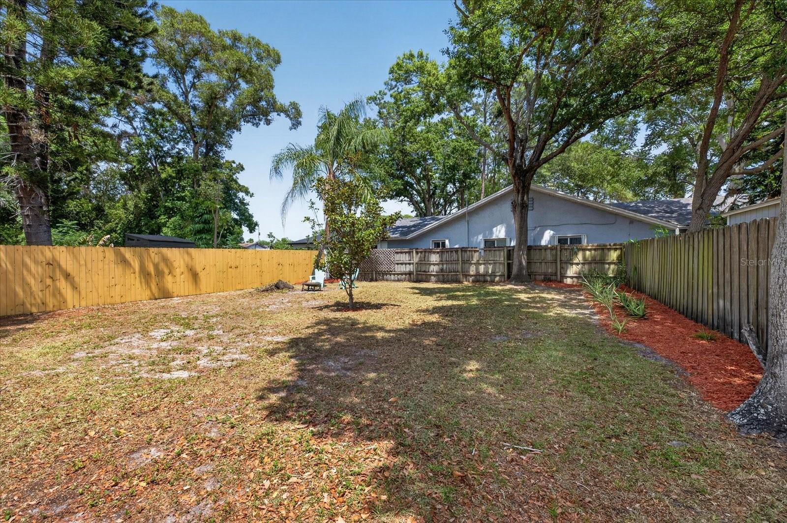 541 PLUMOSA AVE, CLEARWATER, FL, 33756