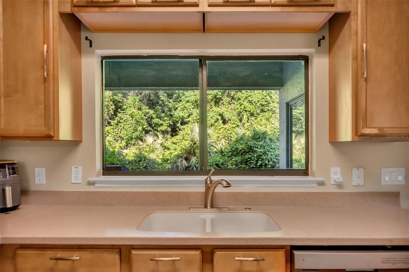 6098 TIVOLI GARDENS BLVD, ORLANDO, FL, 32829