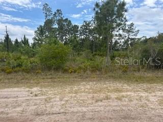 417 (BLK 172 LOT 16) MAGNOLIA DR, INDIAN LAKE ESTATES, FL, 33855