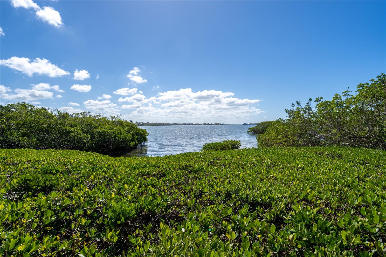 1624 STICKNEY POINT RD #1624-208, SARASOTA, FL, 34231