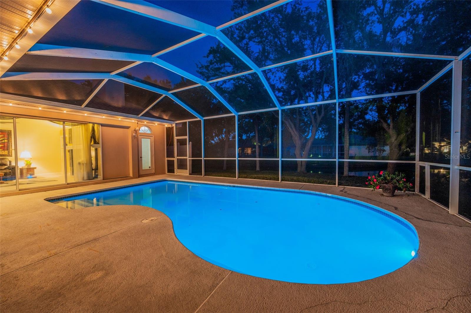 1802 OAK RIDGE RD, SAFETY HARBOR, FL, 34695