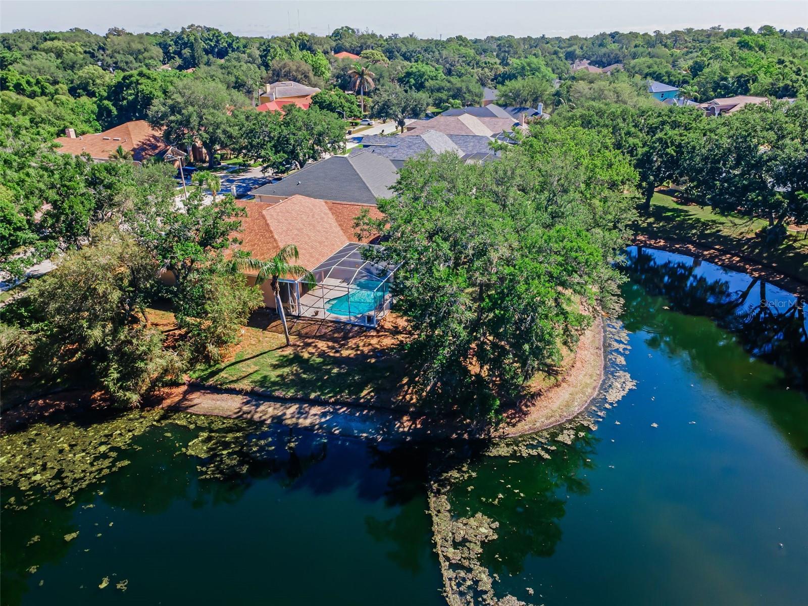 1802 OAK RIDGE RD, SAFETY HARBOR, FL, 34695