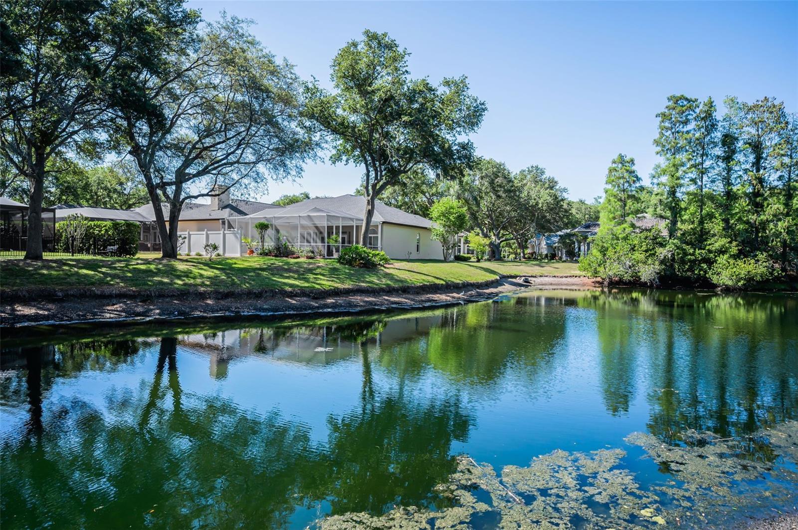 1802 OAK RIDGE RD, SAFETY HARBOR, FL, 34695