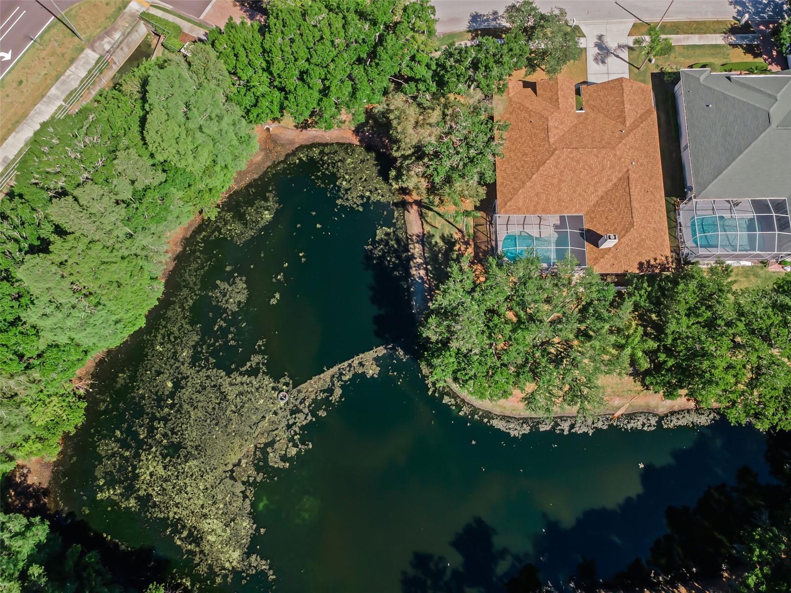 1802 OAK RIDGE RD, SAFETY HARBOR, FL, 34695