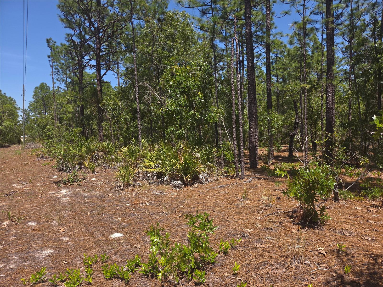 4231 W BONANZA DR, BEVERLY HILLS, FL, 34465