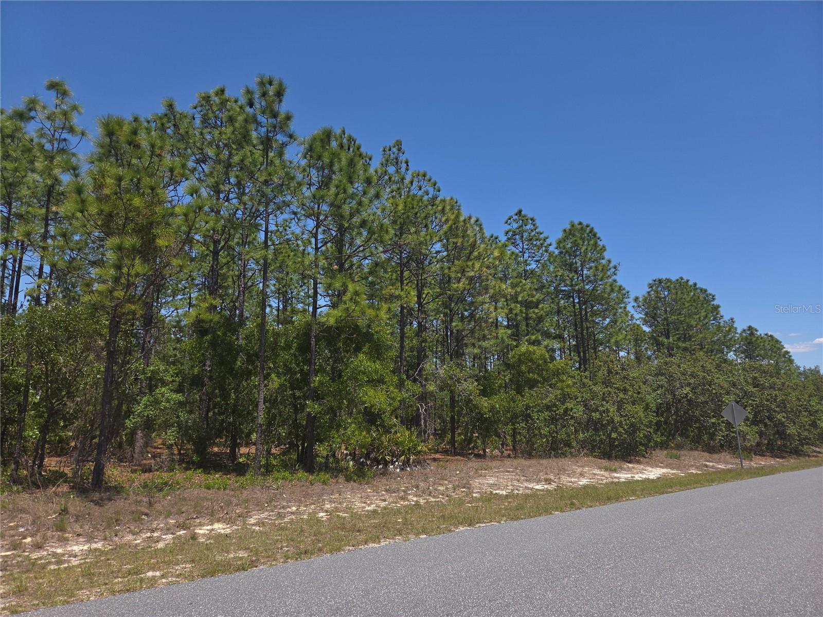 4231 W BONANZA DR, BEVERLY HILLS, FL, 34465