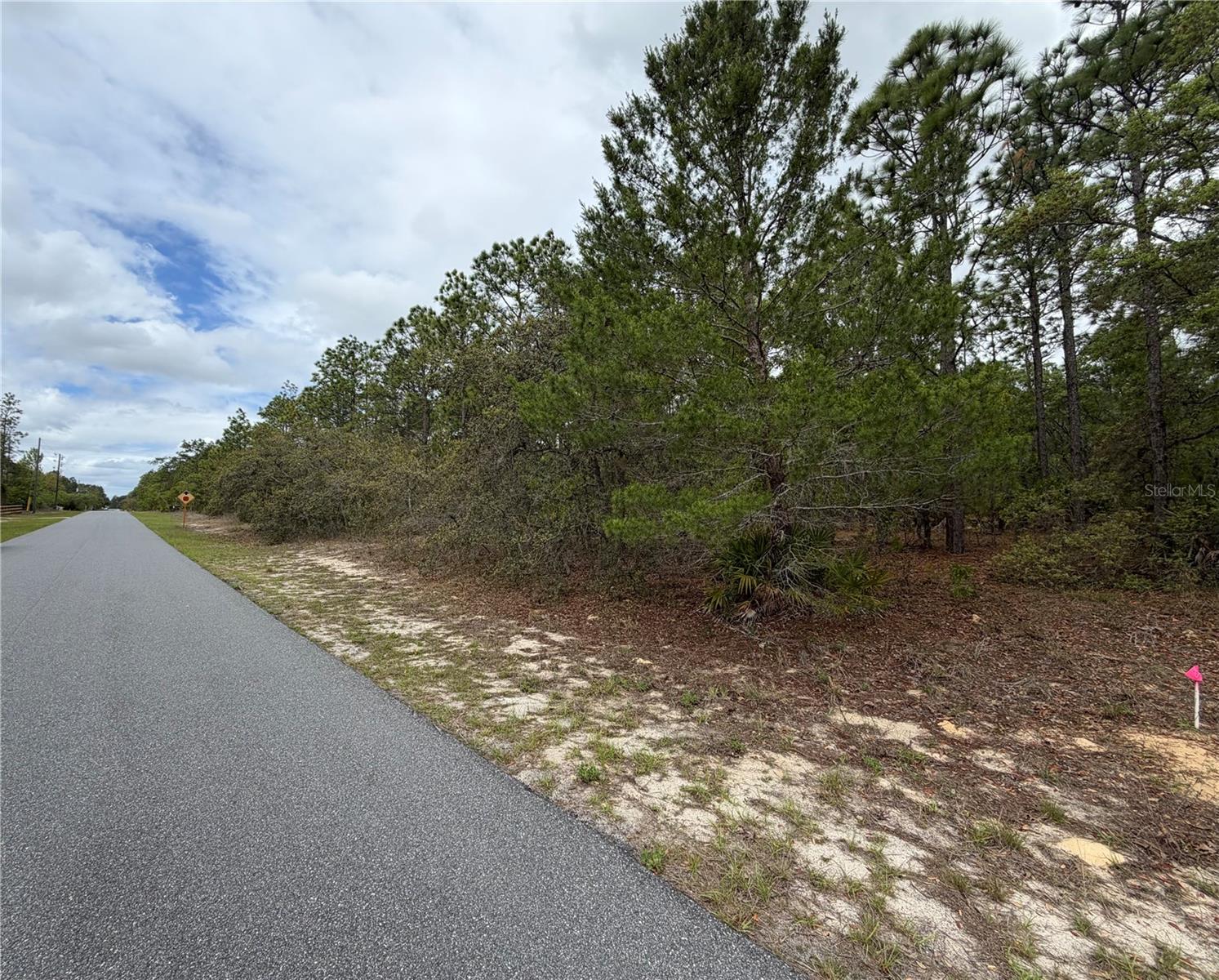 4231 W BONANZA DR, BEVERLY HILLS, FL, 34465