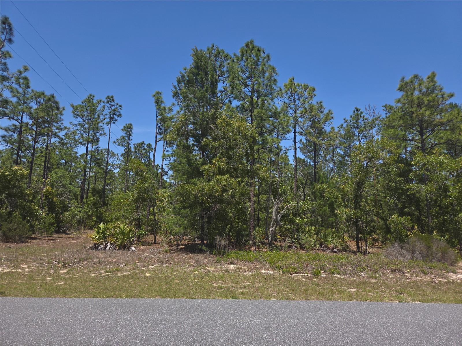 4231 W BONANZA DR, BEVERLY HILLS, FL, 34465