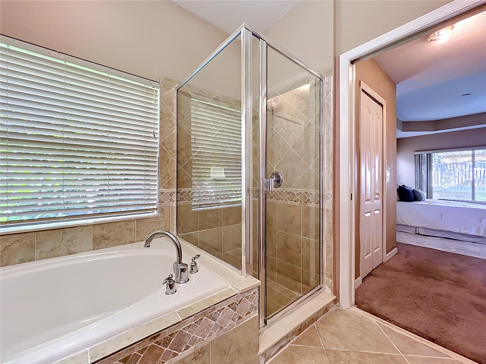 13950 MORNING FROST DR, ORLANDO, FL, 32828