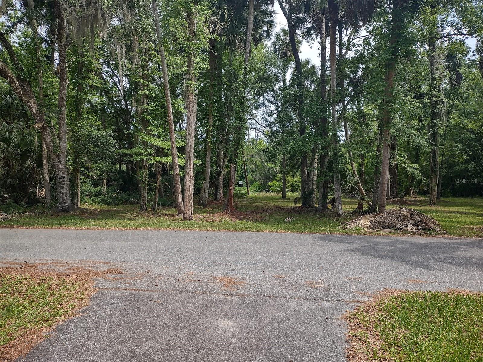 56508 BLUE CREEK RD, ASTOR, FL, 32102