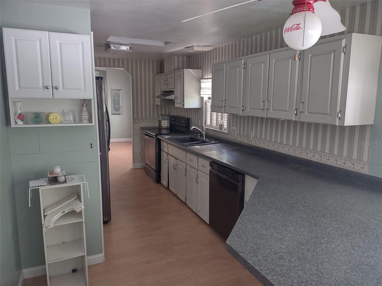 56508 BLUE CREEK RD, ASTOR, FL, 32102