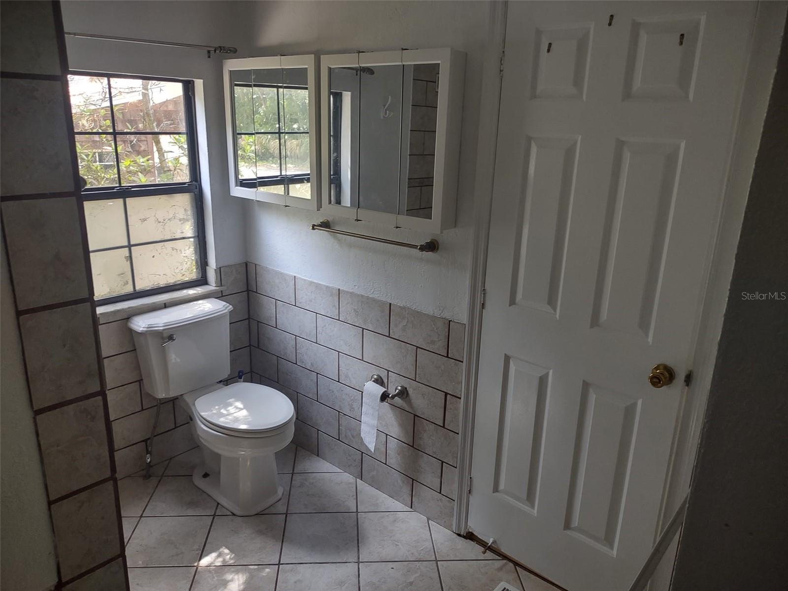 56508 BLUE CREEK RD, ASTOR, FL, 32102