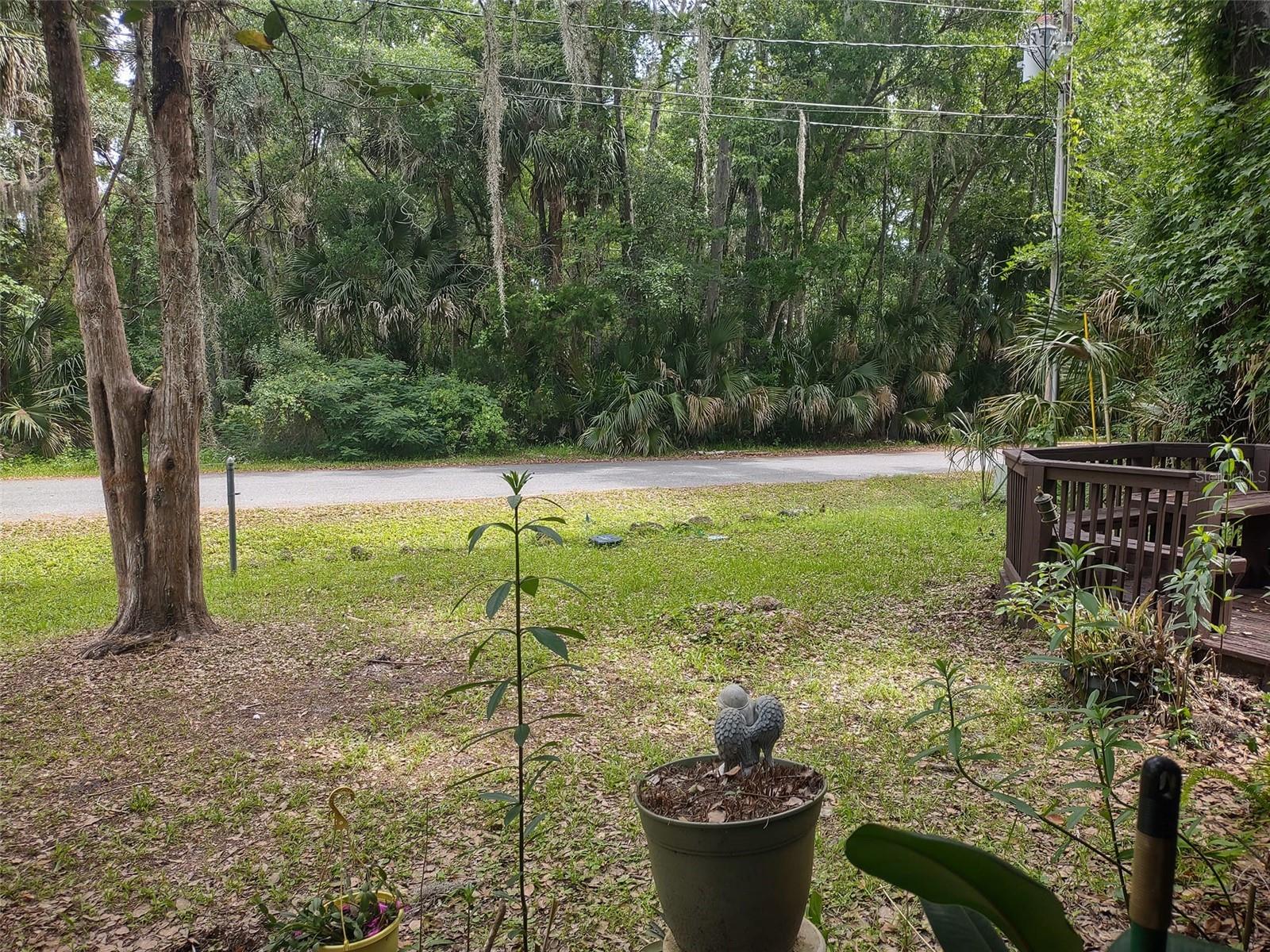 56508 BLUE CREEK RD, ASTOR, FL, 32102