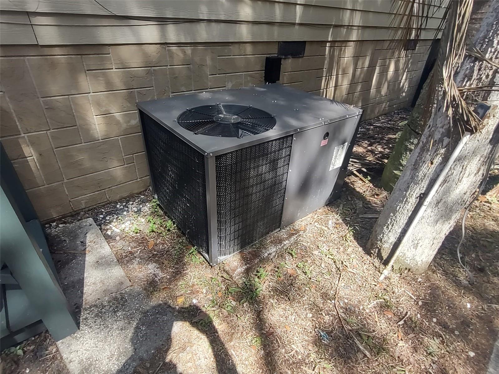 56508 BLUE CREEK RD, ASTOR, FL, 32102