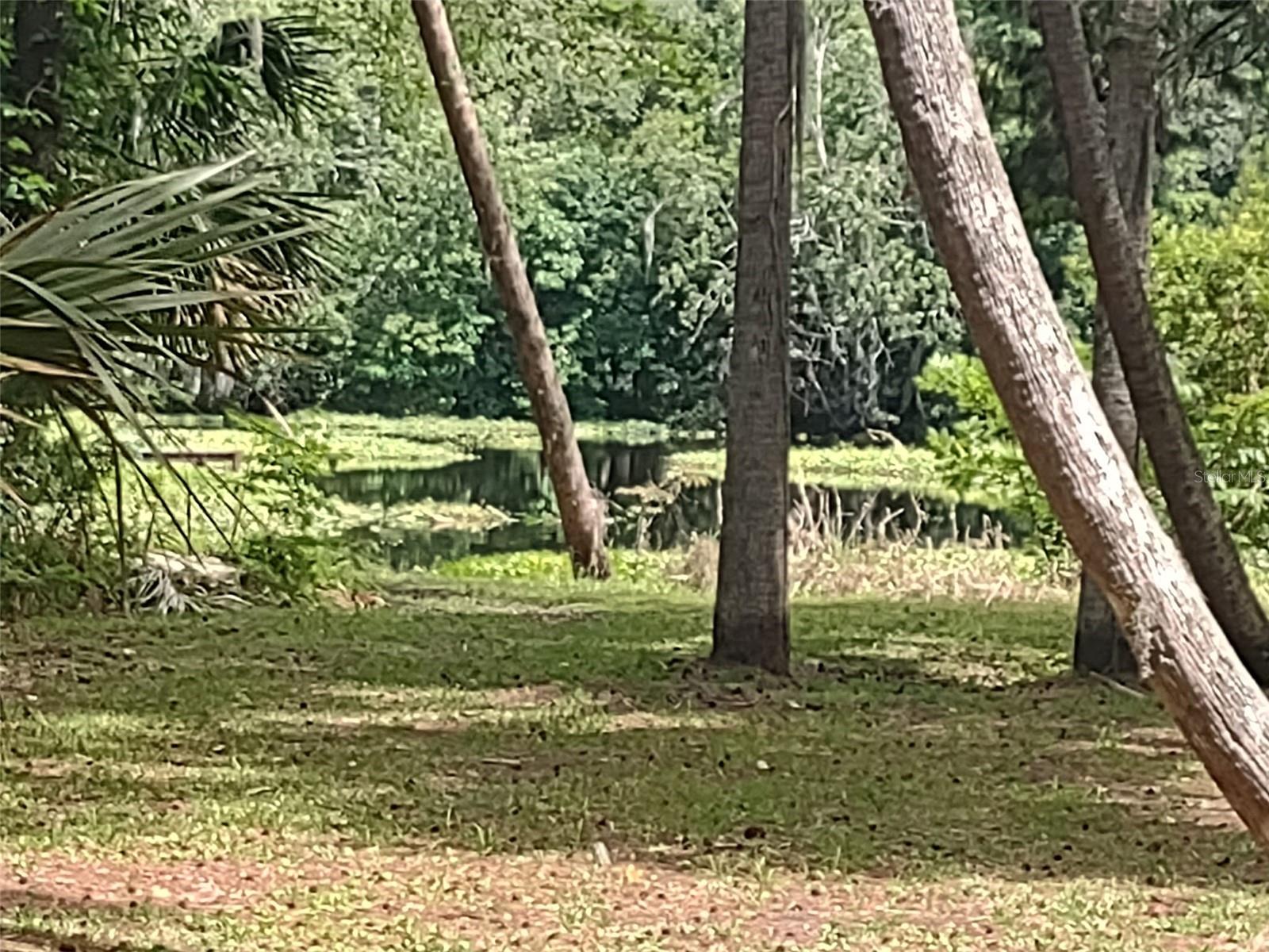 56508 BLUE CREEK RD, ASTOR, FL, 32102