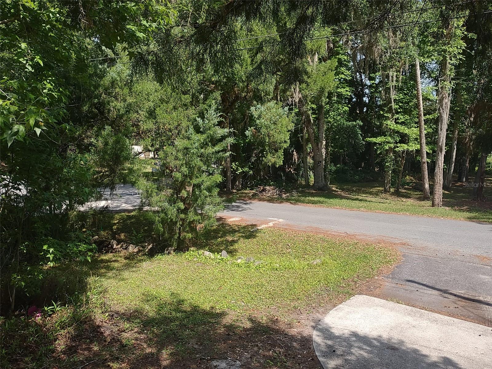 56508 BLUE CREEK RD, ASTOR, FL, 32102