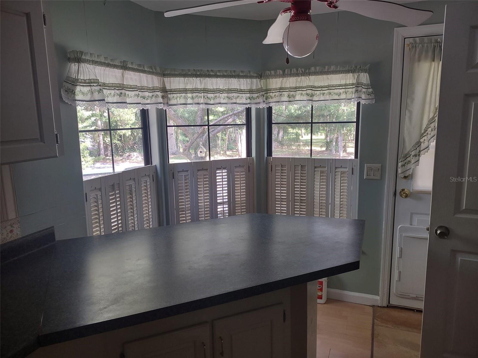 56508 BLUE CREEK RD, ASTOR, FL, 32102