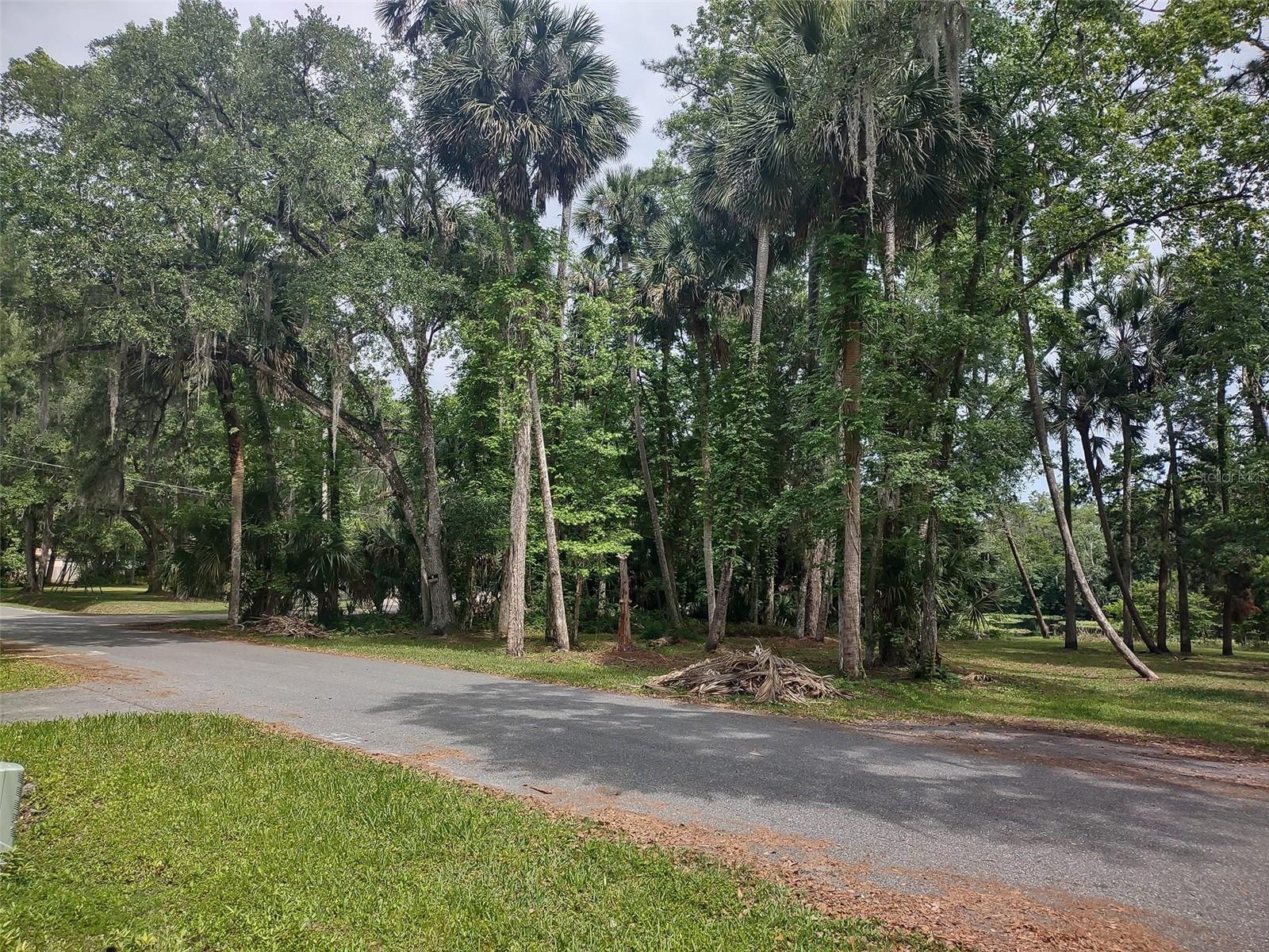 56508 BLUE CREEK RD, ASTOR, FL, 32102