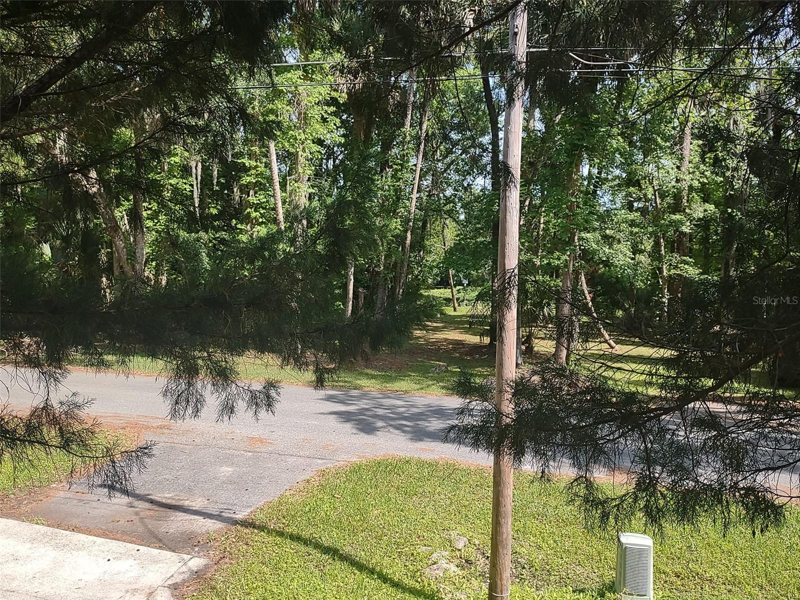 56508 BLUE CREEK RD, ASTOR, FL, 32102