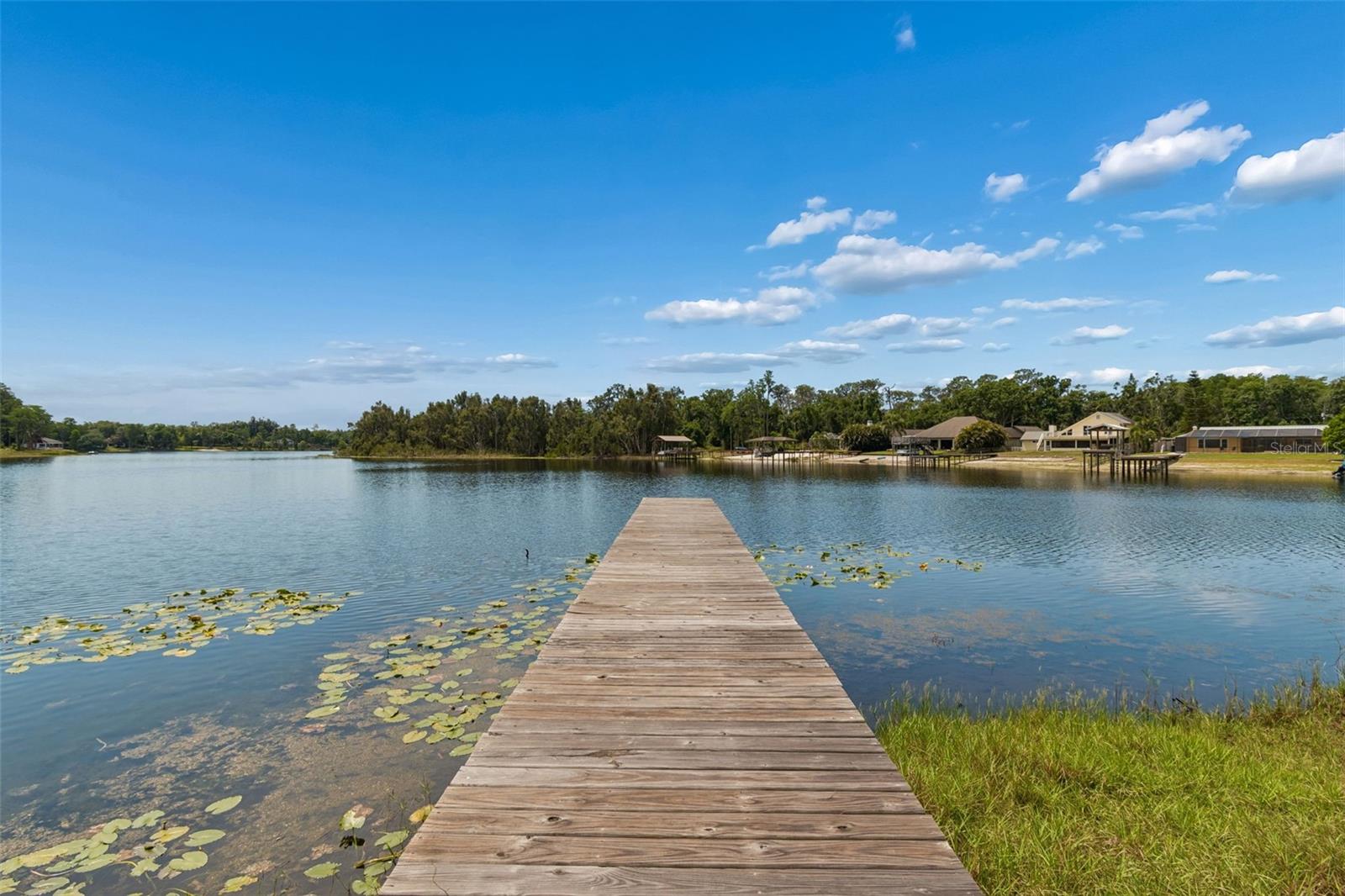 17129 RAINBOW TER, ODESSA, FL, 33556