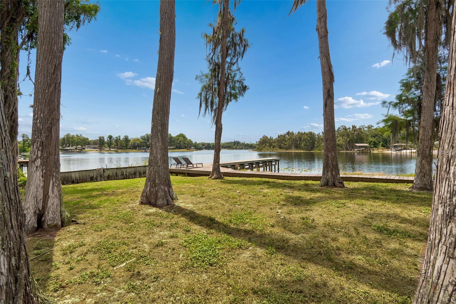 17129 RAINBOW TER, ODESSA, FL, 33556