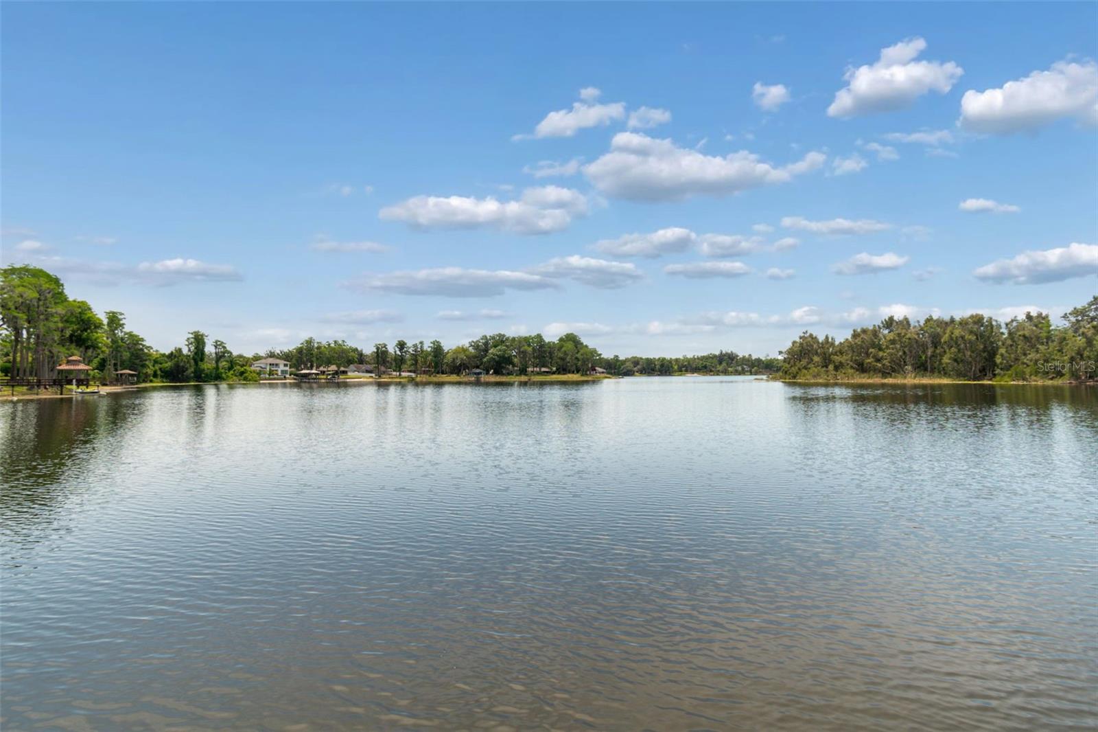 17129 RAINBOW TER, ODESSA, FL, 33556