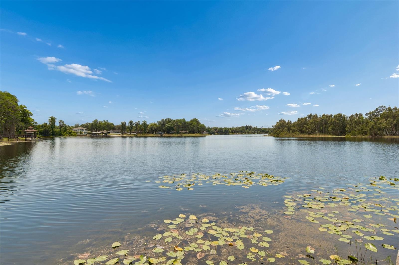17129 RAINBOW TER, ODESSA, FL, 33556