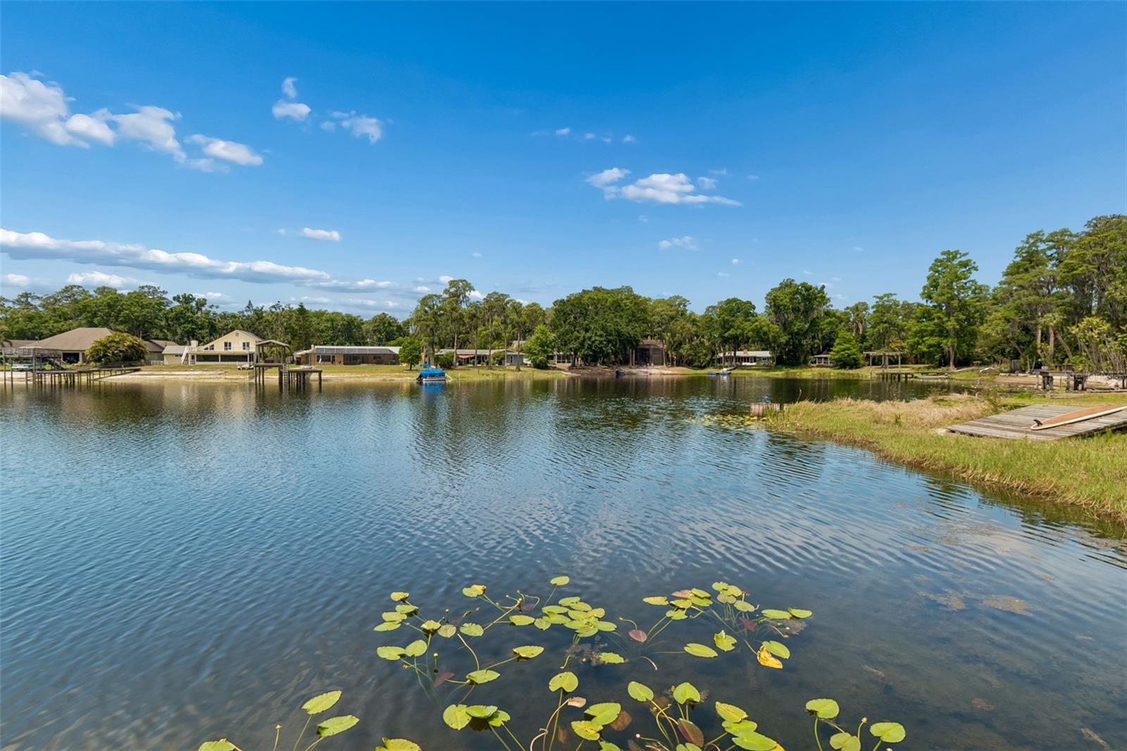 17129 RAINBOW TER, ODESSA, FL, 33556