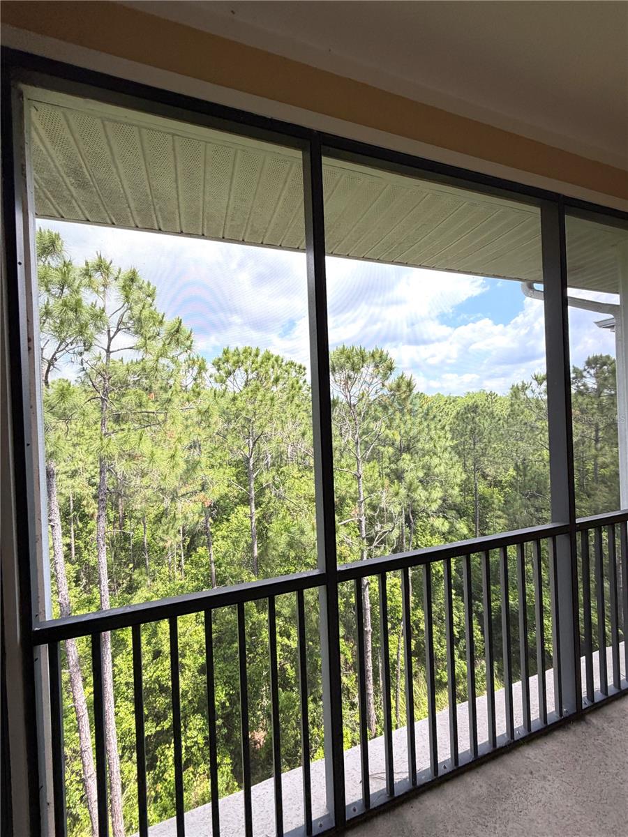 3060 PIRATES RETREAT CT #501, KISSIMMEE, FL, 34747