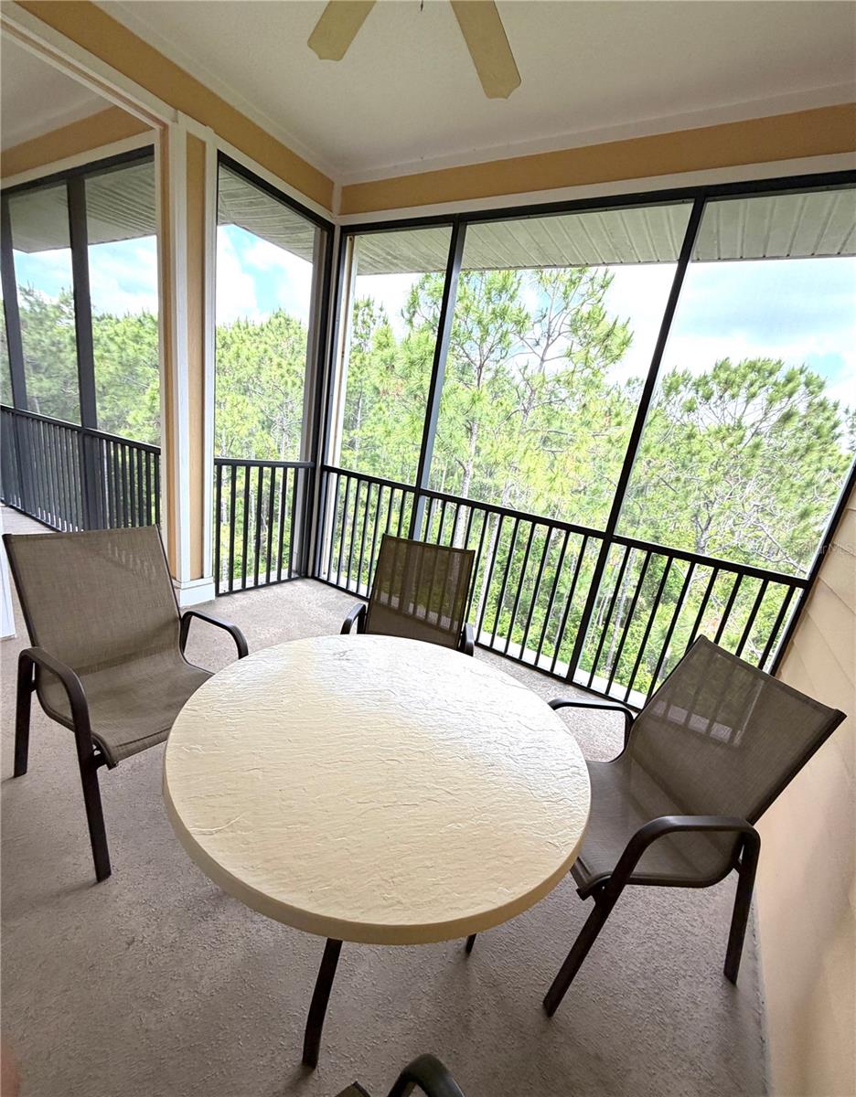 3060 PIRATES RETREAT CT #501, KISSIMMEE, FL, 34747