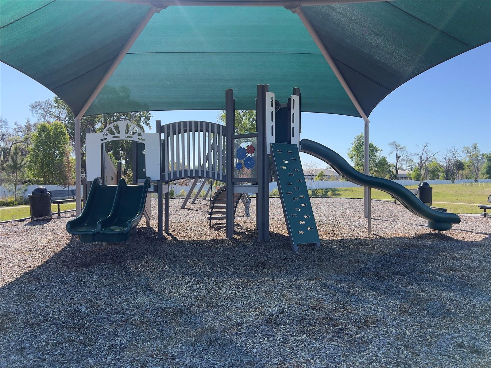 490 THOMPSON VILLAGE AVE, APOPKA, FL, 32703