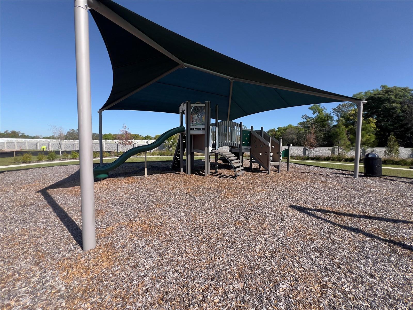 490 THOMPSON VILLAGE AVE, APOPKA, FL, 32703