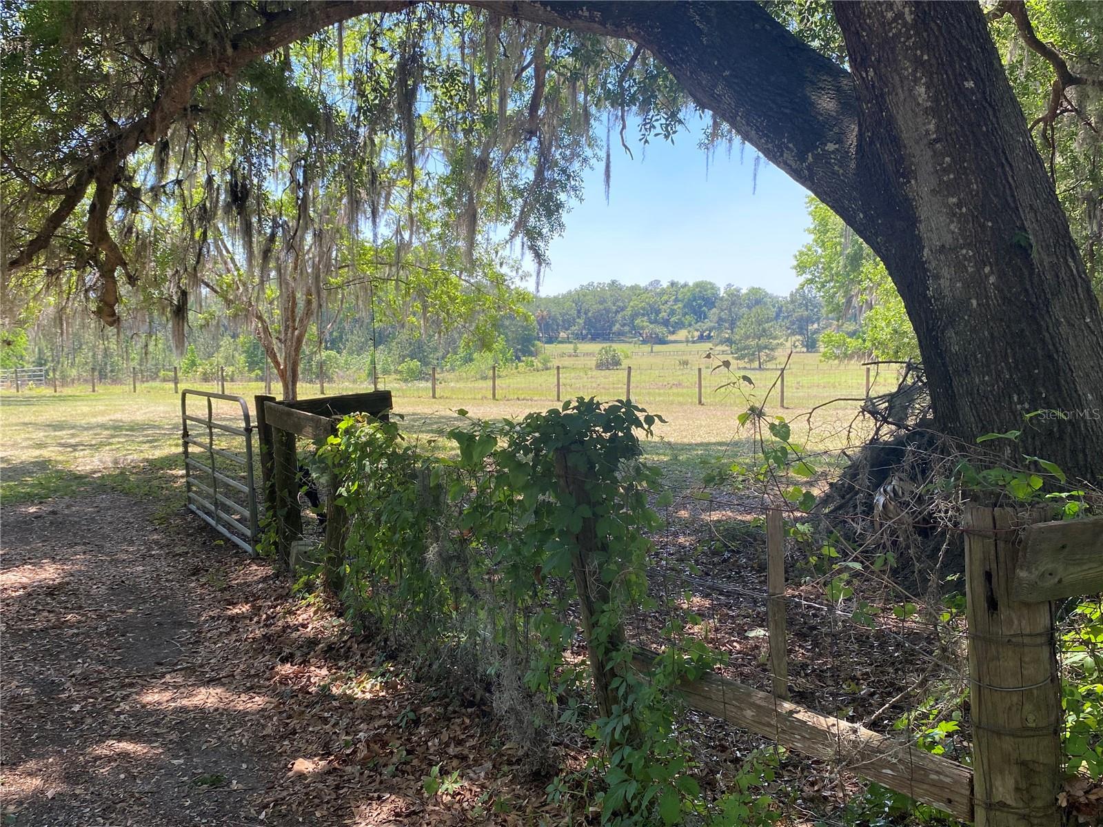 5820 NW 160TH ST, REDDICK, FL, 32686