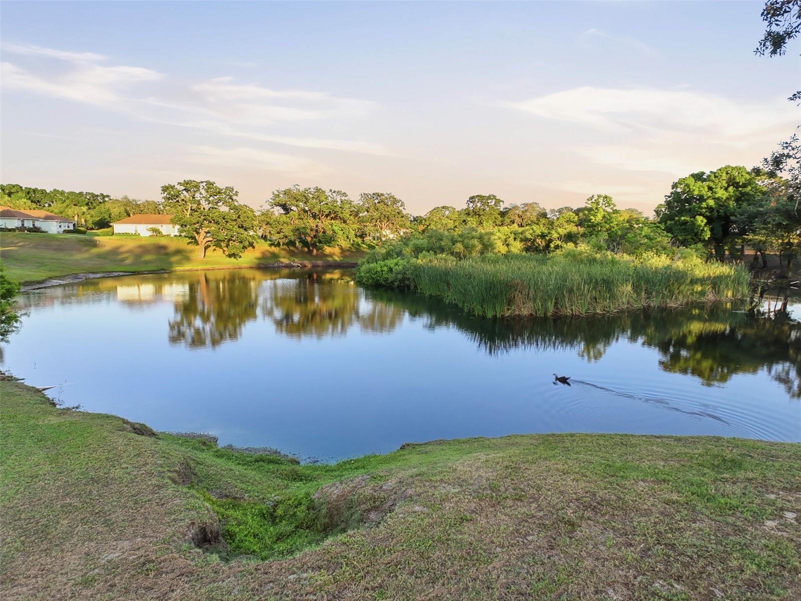 11430 CARRIAGE HILL DR #4, PORT RICHEY, FL, 34668