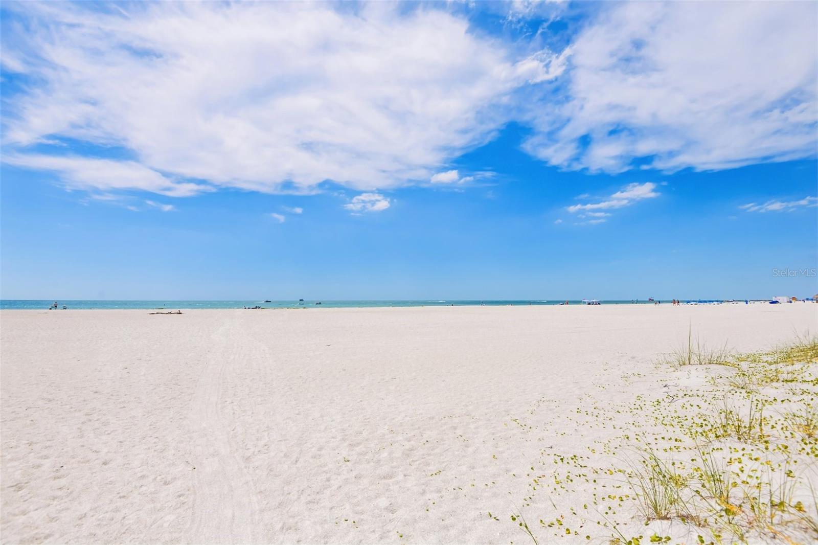 1180 GULF BLVD #101, CLEARWATER BEACH, FL, 33767