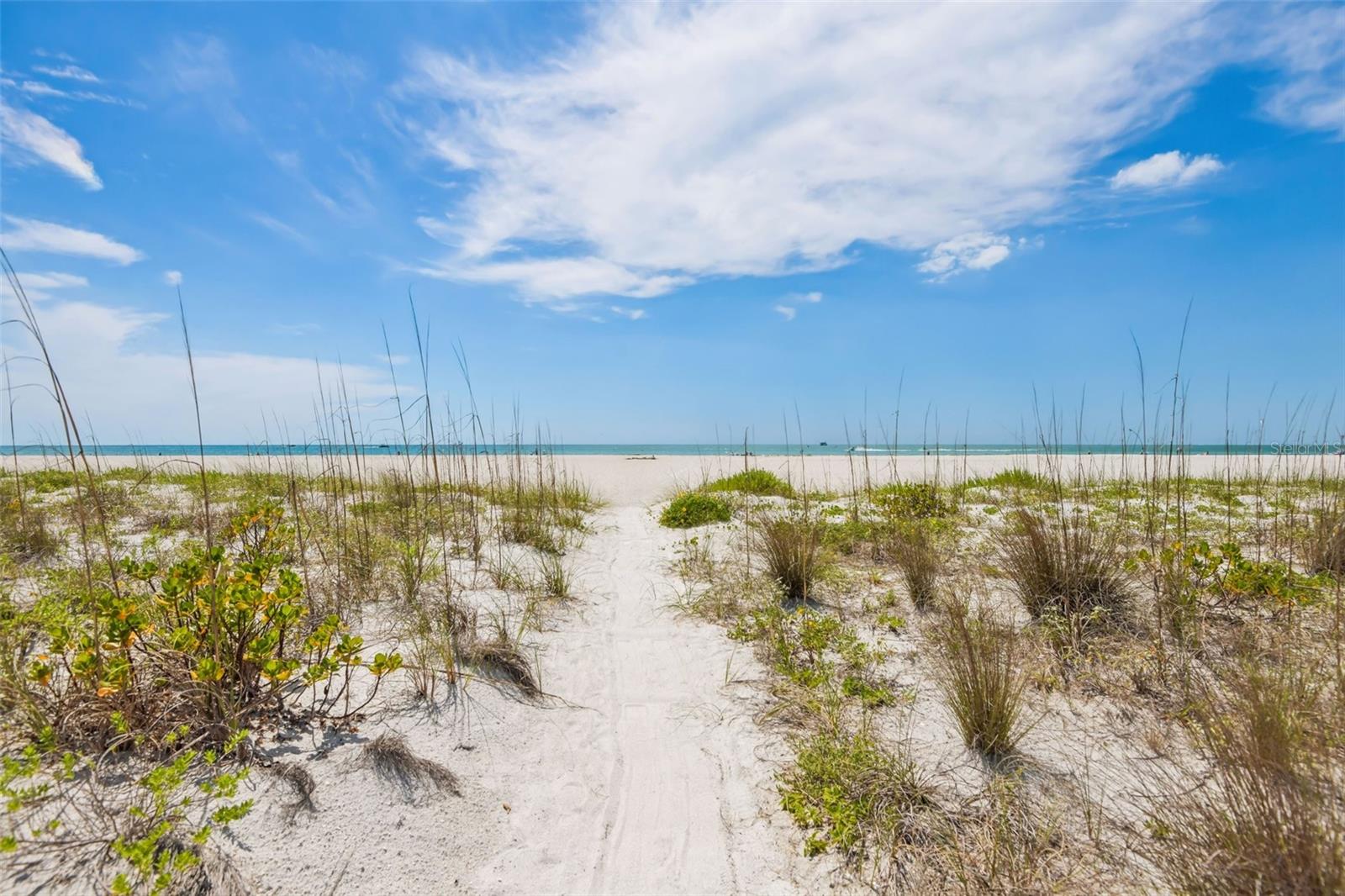 1180 GULF BLVD #101, CLEARWATER BEACH, FL, 33767